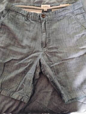Goodfellow & Co Men's Blue Chambray Flat-Front Shorts